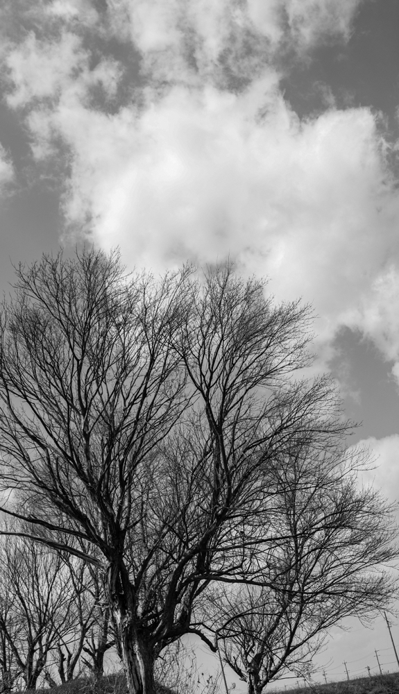CanonEOS8000D CanonEF24-70mmF4L iso100 24mm f8 1/1000 Tv photo : toshimasa