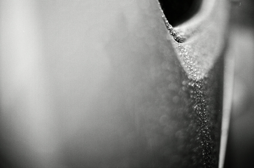 CanonF-1N Fujifilm-Acros-100ll
