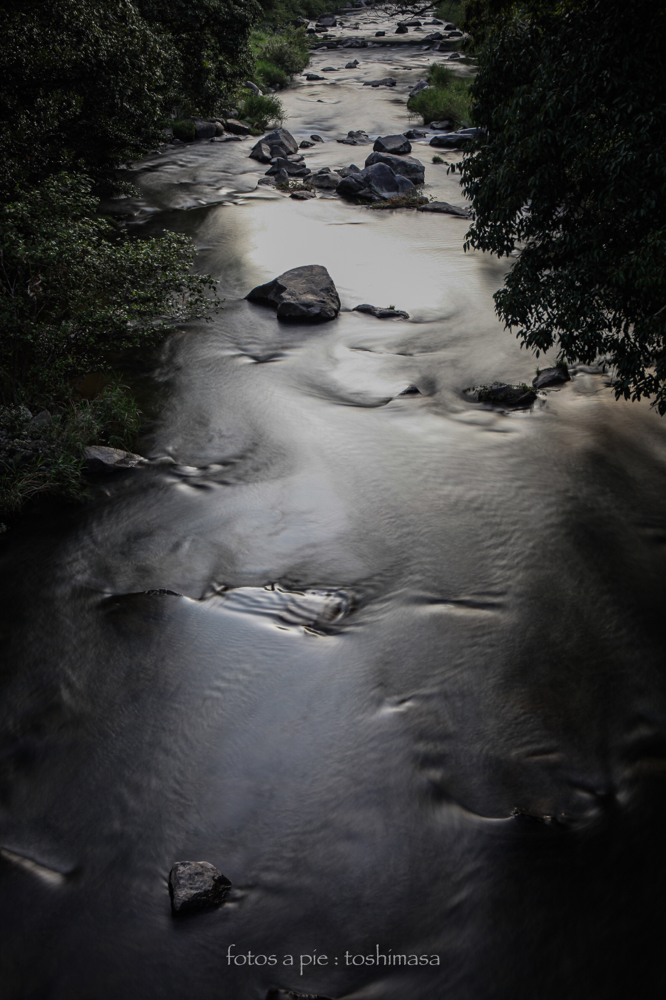 CanonEOS5Dmk2 CanonEF24-70mmF4L iso100 44mm f4 8" M photo : toshimasa