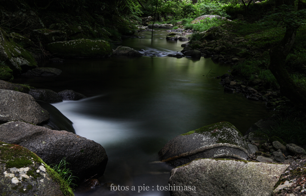 CanonEOS5Dmk2 CanonEF24-70mmF4L iso100 47mm f10 50" B photo : toshimasa
