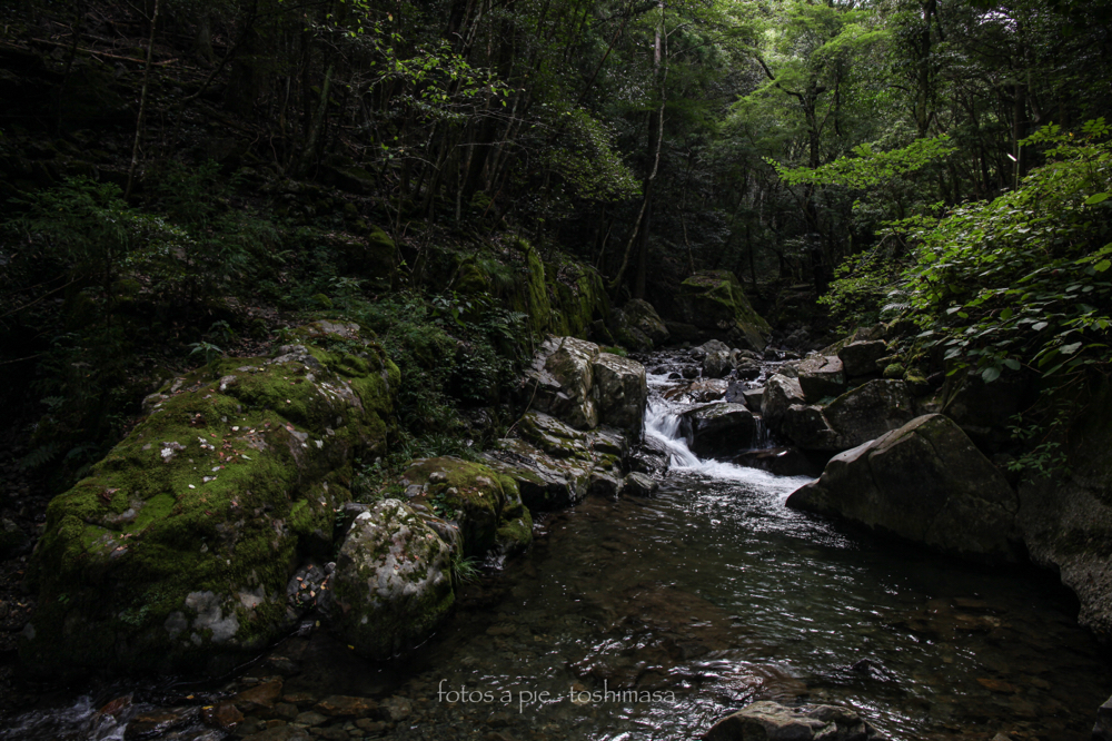CanonEOS5Dmk2 CanonEF24-70mmF4L iso100 24mm f8 1/25 M photo : toshimasa