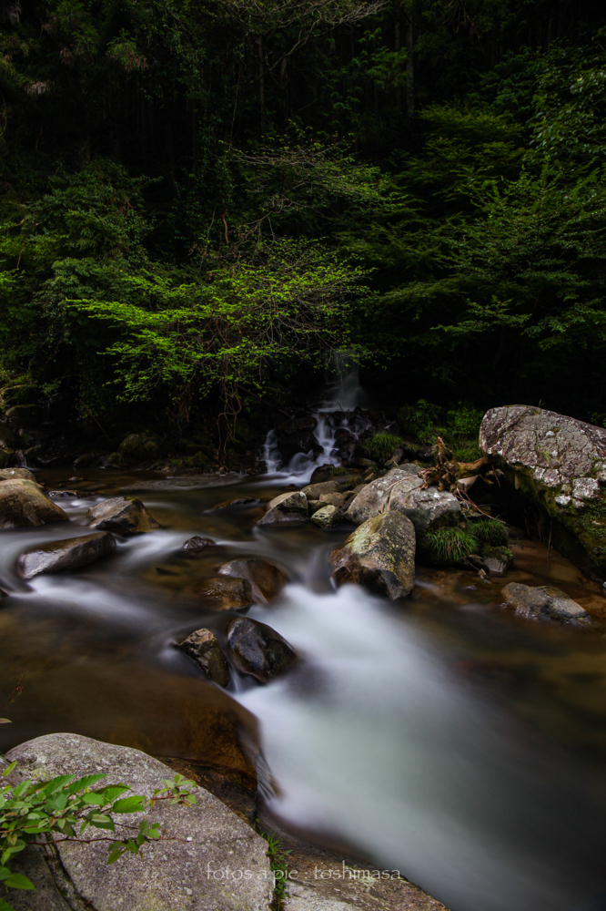 CanonEOS5Dmk2 CanonEF24-70mmF4L iso100 24mm f10 28" B photo : toshimasa