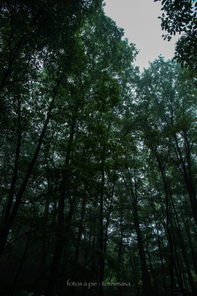 CanonEOS5Dmk2 CanonEF24-70mmF4L iso100 24mm f10 3" photo : toshimasa