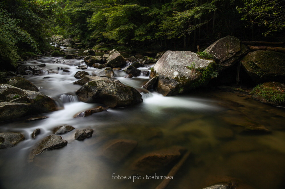 CanonEOS5Dmk2 CanonEF24-70mmF4L iso100 24mm f10 23" B photo : toshimasa