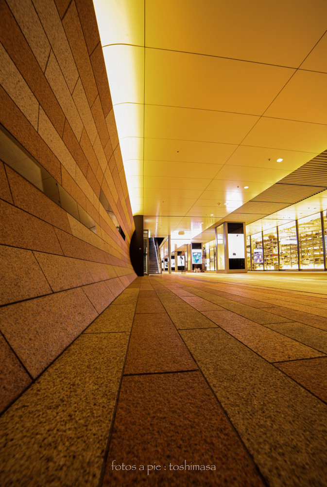 CanonEOS5Dmk2 Samyang 14mmF2.8 iso100 14mm f8 3.2" M