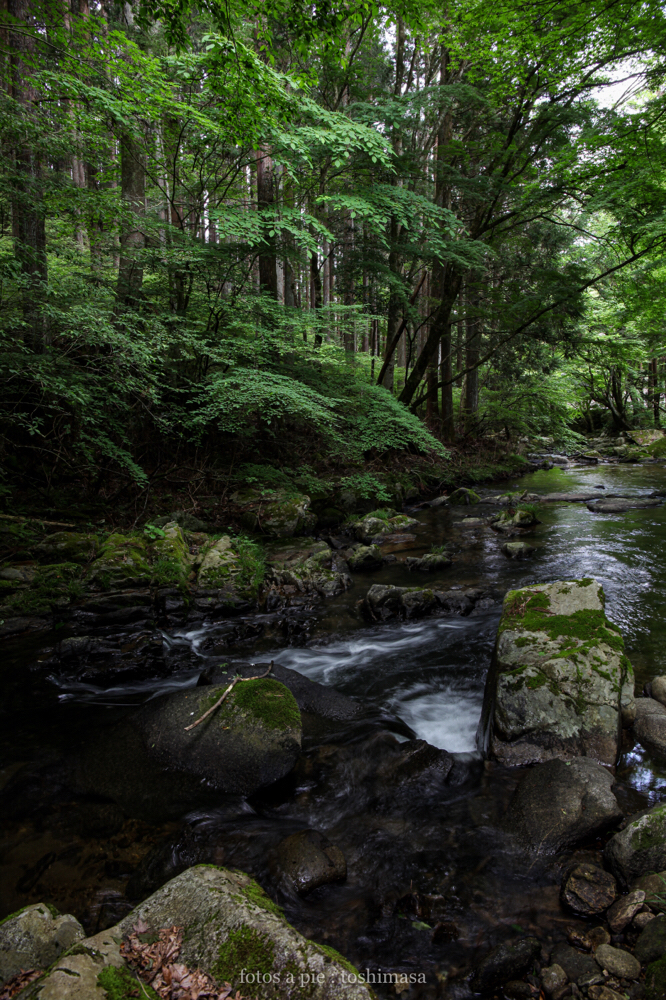 CanonEOS5Dmk2 CanonEF24-70mmF4L iso100 24mm f8 1/5" M photo : toshimasa