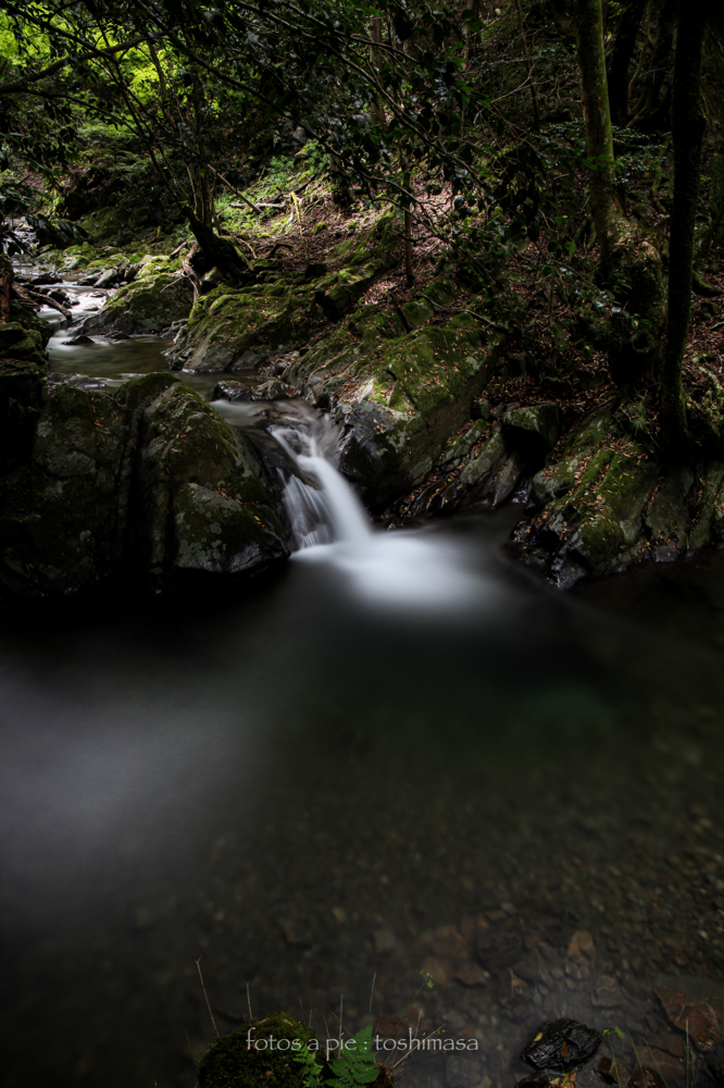 CanonEOS5Dmk2 CanonEF24-70mmF4L iso100 24mm f10 500" B NISI-ND1000 photo : toshimasa