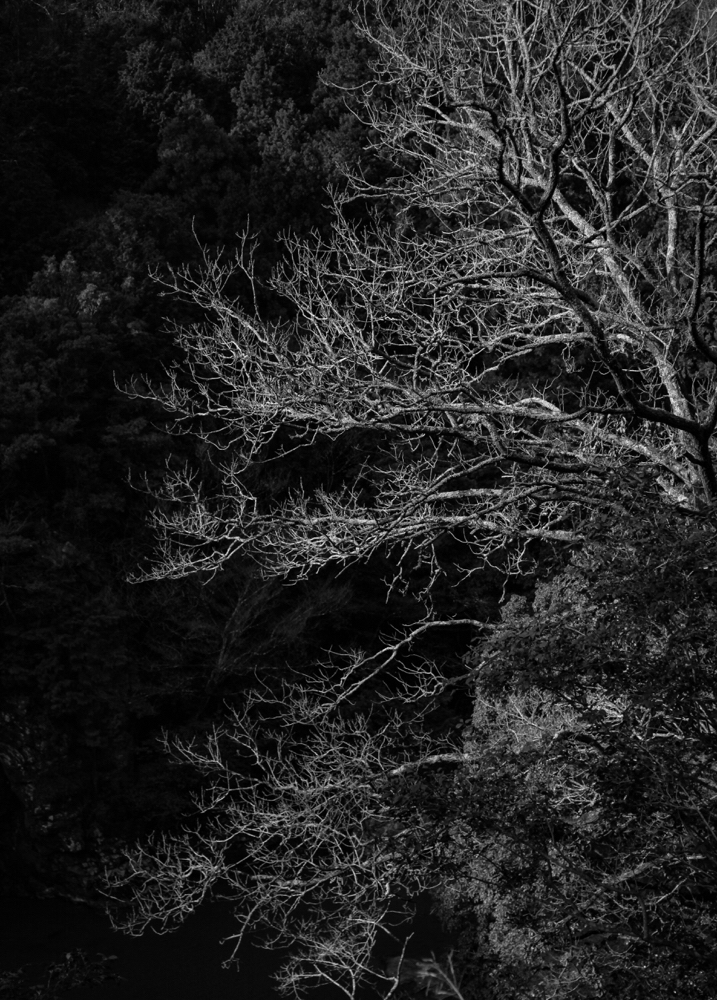 CanonEOS 5Dmk2 CanonEF24-70F4L iso100 44mm f4 1/1000 Tv photo : toshimasa
