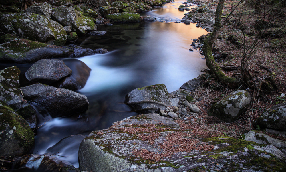 野原川 CanonEOS 5Dmk2 CanonEF24-70mmF4L iso100 24mm f10 60" B NISI-ND1000 photo: toshimasa