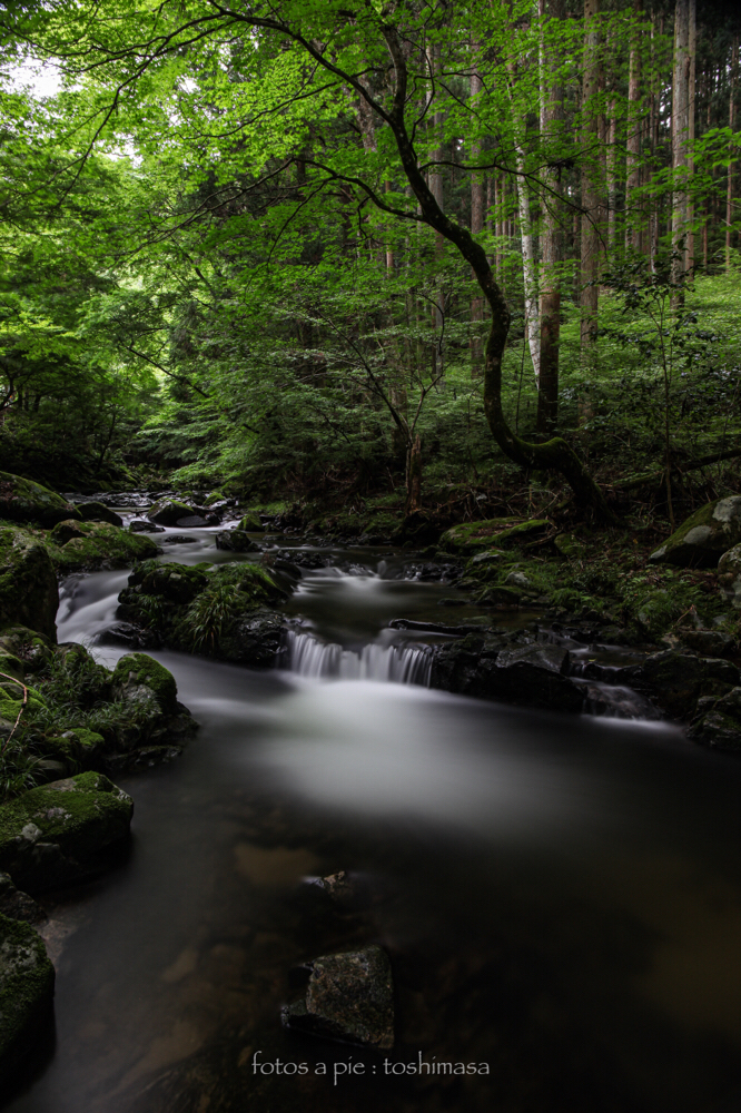 CanonEOS5Mk2 CanonEF24-70mmF4L iso100 24mm f10 200" B NISI-ND1000 photo : toshimasa