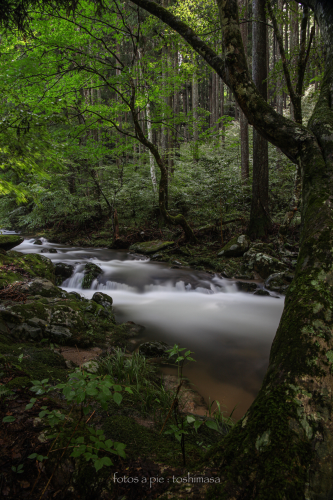 CanonEOS5Dmk2 CanonEF24-70mmF4L iso100 24mm f10 301" B NISI-ND1000 photo : toshimasa