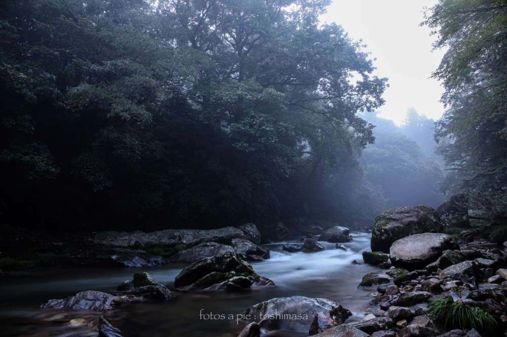 CanonEOS5Dmk2 CanonEF24-70mmF4L iso100 24mm f10 17" B photo : toshimasa