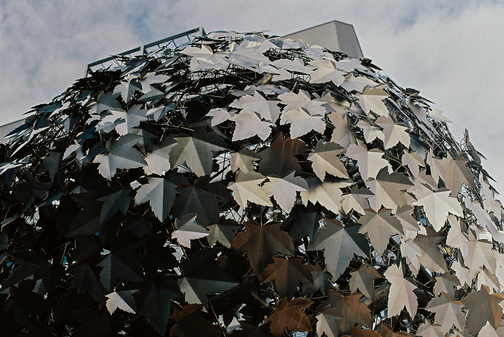 大阪 CanonF-1n CanonFD24mmF2.8 Lomography-400 photo : toshimasa