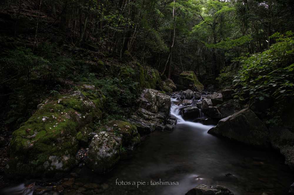 CanonEOS5Dmk2 CanonEF24-70mmF4L iso100 24mm f10 100" B NISI-ND1000 photo : toshimasa