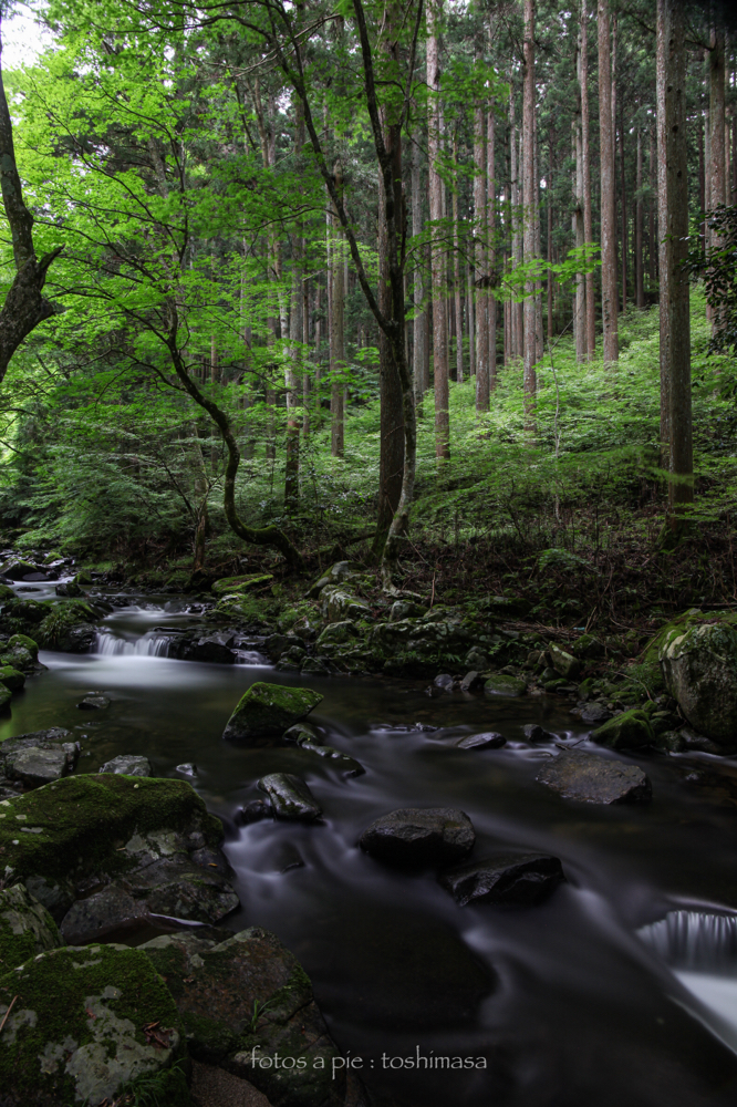CanonEOS5Mk2 CanonEF24-70mmF4L iso100 24mm f10 200" B NISI-ND1000 photo : toshimasa