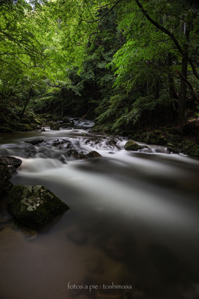 CanonEOS5Dmk2 CanonEF24-70mmF4L iso100 24mm f10 250" B NISI-ND1000 photo : toshimasa