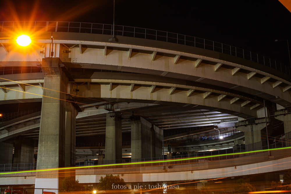 CanonEOS5Dmk2 Sigma50mmF1.4 EX DG iso100 50mm f10 10" M photo : toshimasa