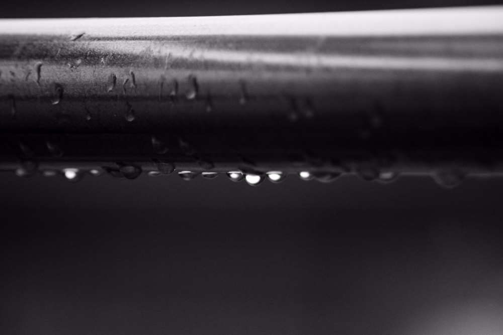CanonEOS8000D K&Fconcept KF-FDEF FD135mmF2.5sc iso800 135mm f2.5 1/640 Tv photo : toshimasa