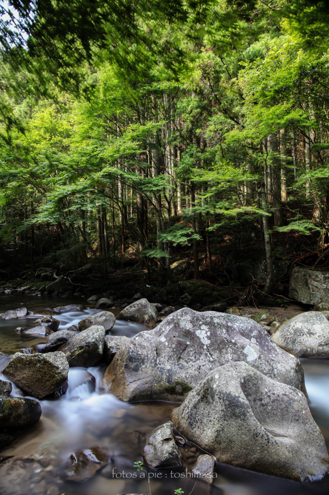 CanonEOS5Dmk2 CanonEF24-70mmF4L iso100 24mm f10 200" B photo : toshimasa