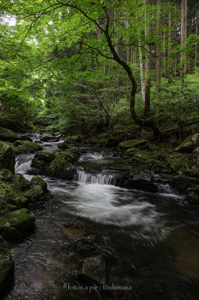 CanonEOS5Mk2 CanonEF24-70mmF4L iso100 24mm f10 1/5" M photo : toshimasa