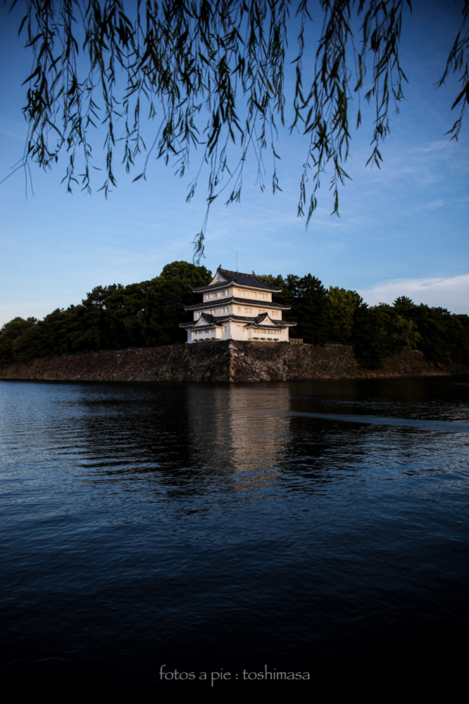 CanonEOS5Dmk2 CanonEF24-70mmF4L iso100 24mm f4 1/500 M photo : toshimasa