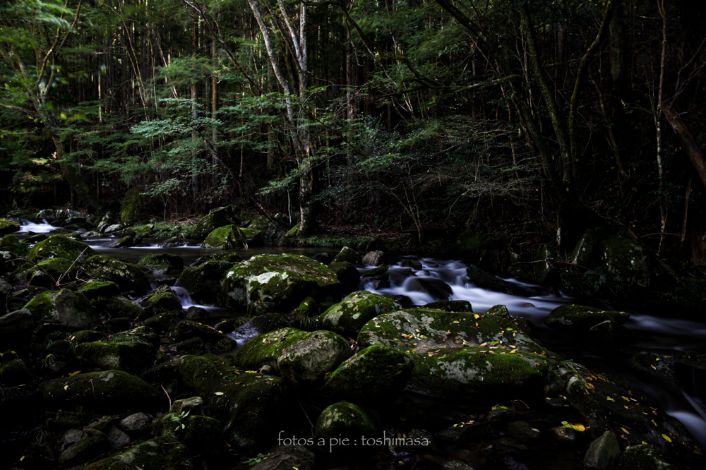 CanonEOS5Dmk2 CanonEF24-70mmF4L iso100 24mm f8 200" B NISI ND-1000