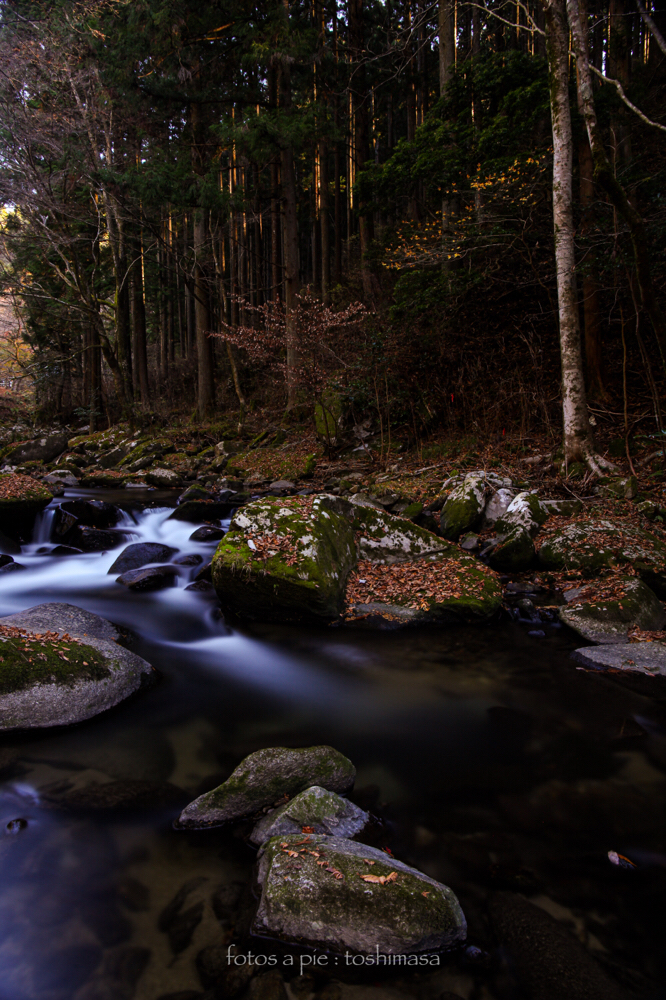 CanonEOS5Dmk2 CanonEF24-70mmF4L iso100 27mm f8 200" B NISI ND1000