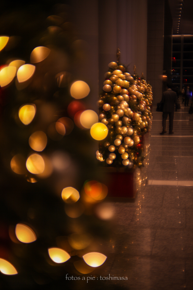 CanonEOS5Dmk2 CanonNewFD50mmF1.4 iso100 50mm f4 1/40 M