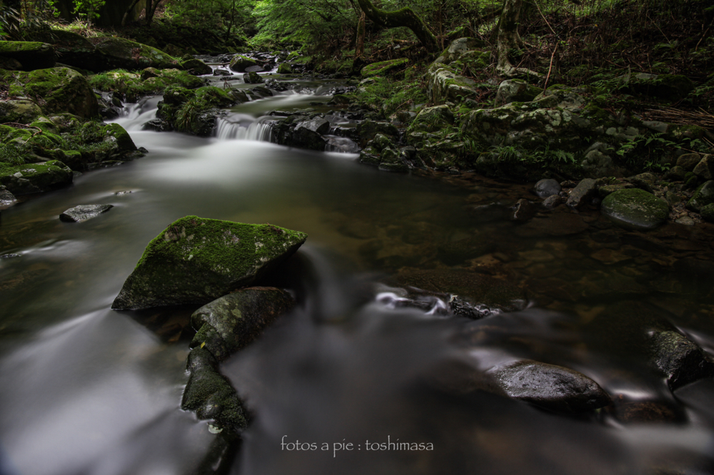 CanonEOS5Mk2 CanonEF24-70mmF4L iso100 24mm f10 250" B NISI-ND1000 photo : toshimasa