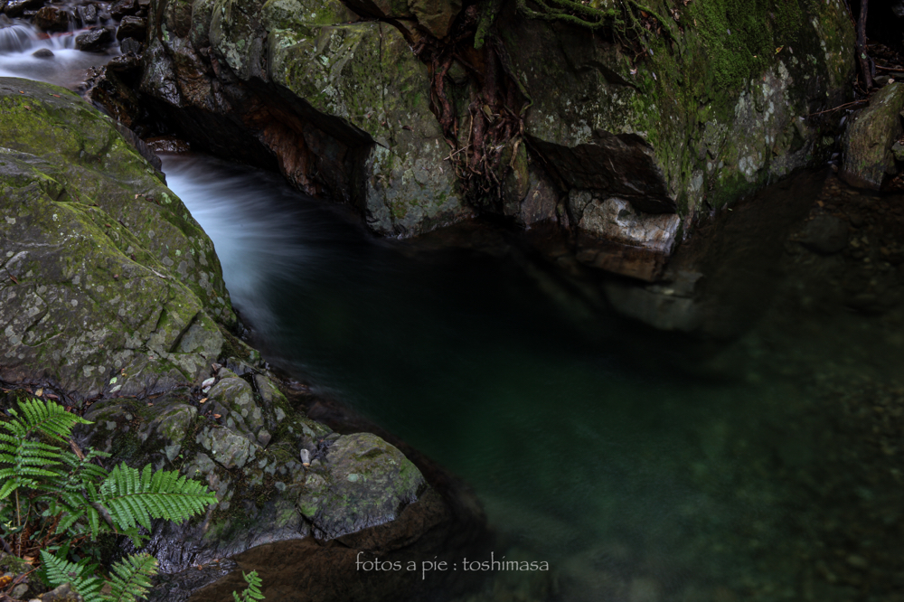 CanonEOS5Dmk2 CanonEF24-70mmF4L iso100 41mm f20 5" M photo : toshimasa