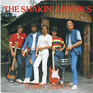 LP Shakin' Strings