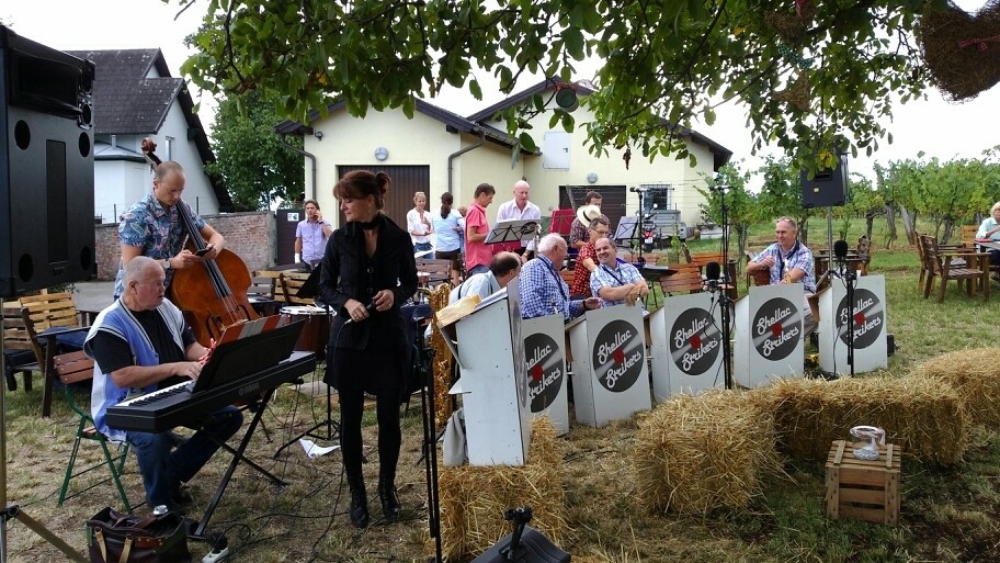 Die Bigband des Wienerwaldes