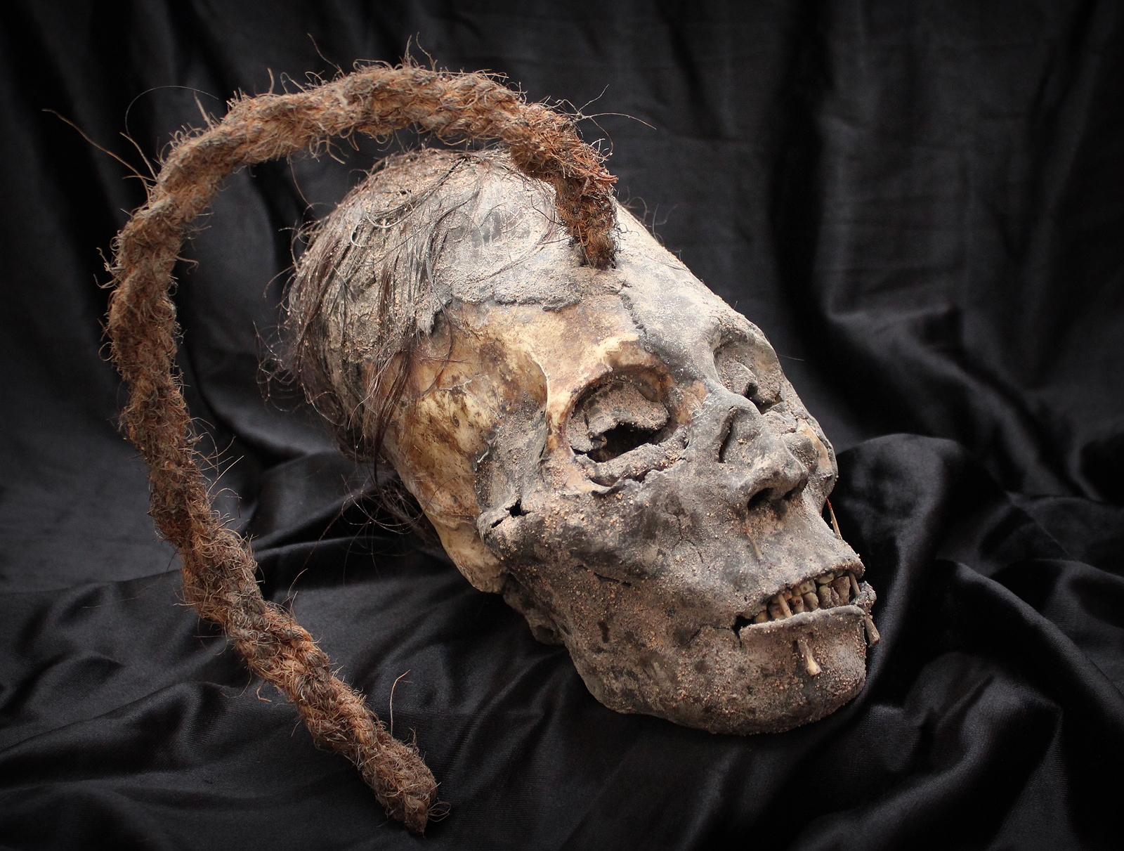 Elongated skull