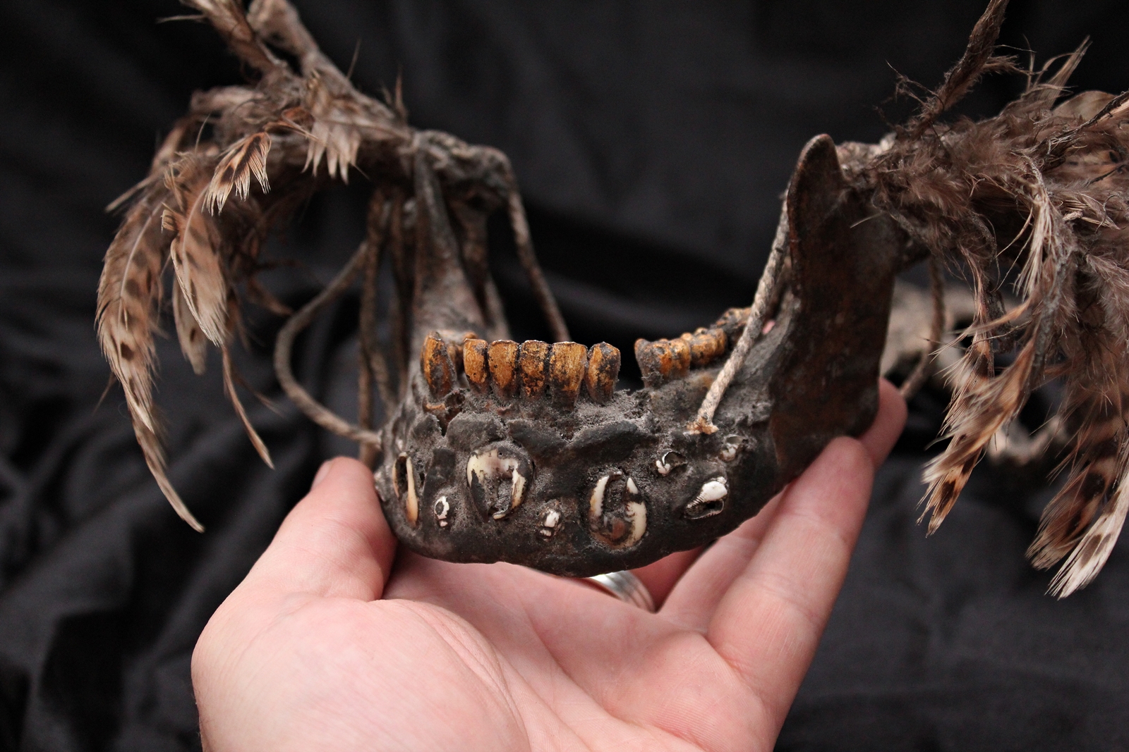 Asmat human jaw necklace