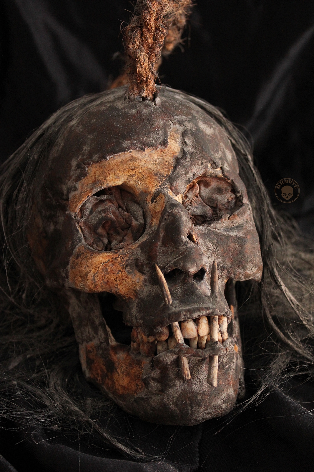 pre-columbiam / pre-hispanic skull