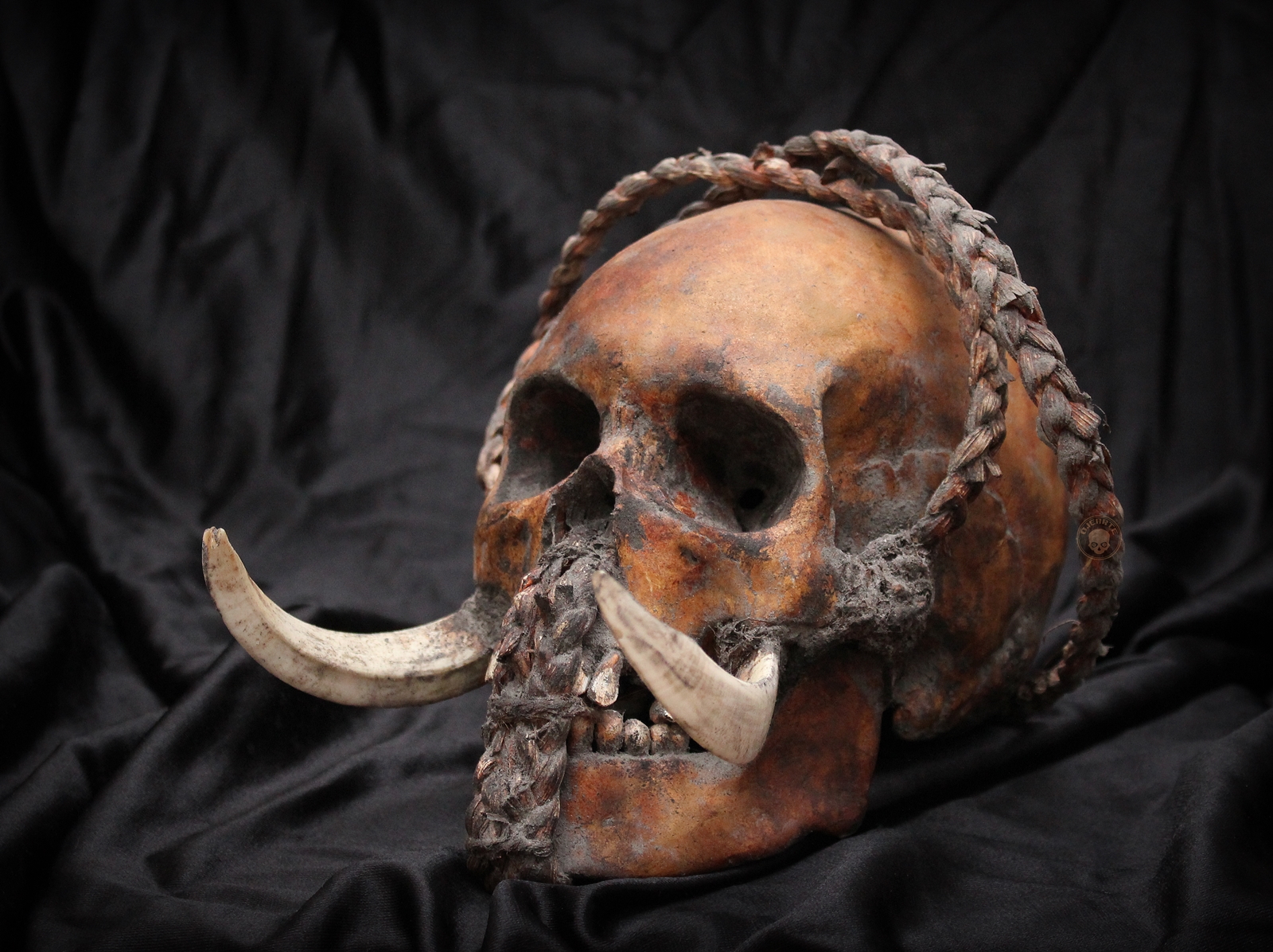 Marquesas Islands skull