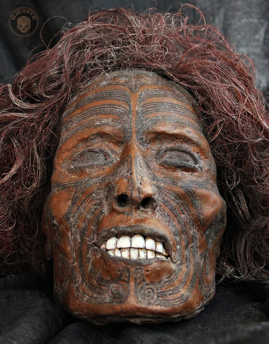 Maorí Mokomokai Trophy Head