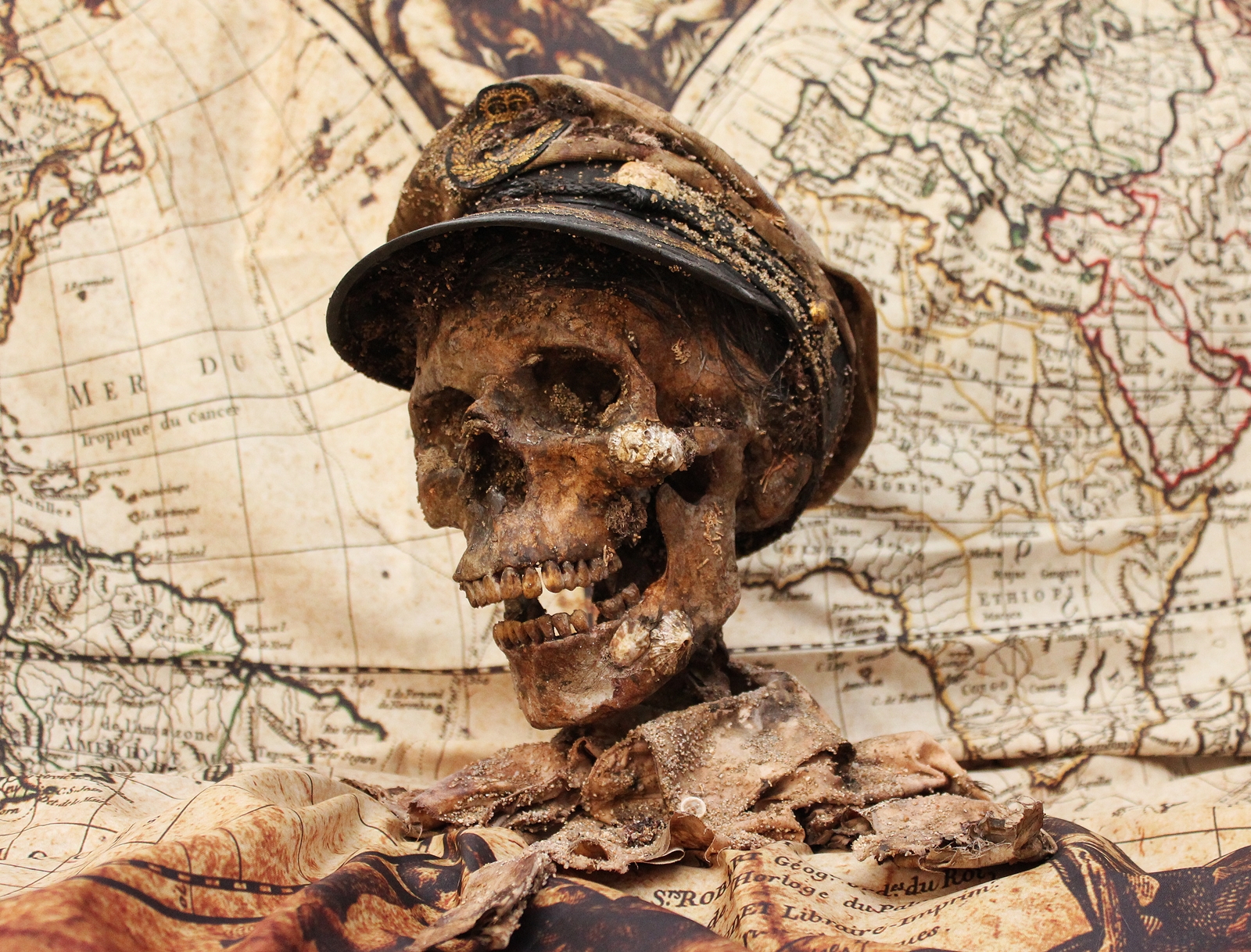 Skull of a ship's captain or sailor