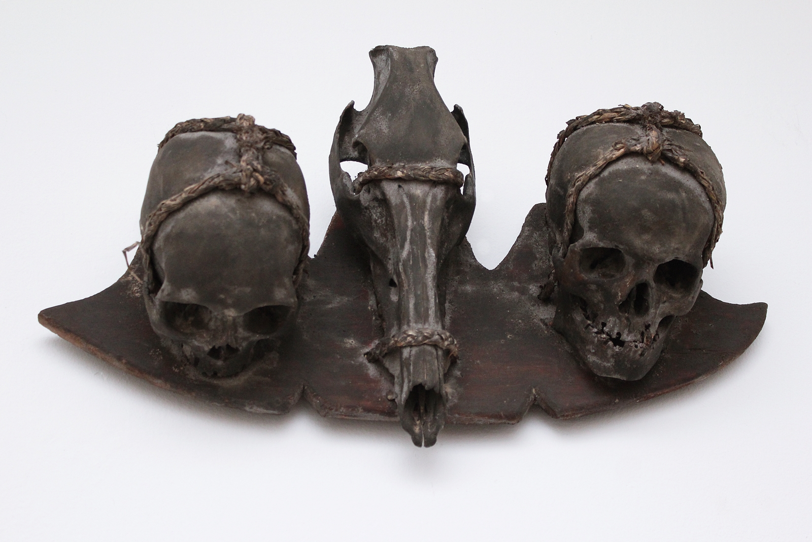 IFUGAO Skull trophy