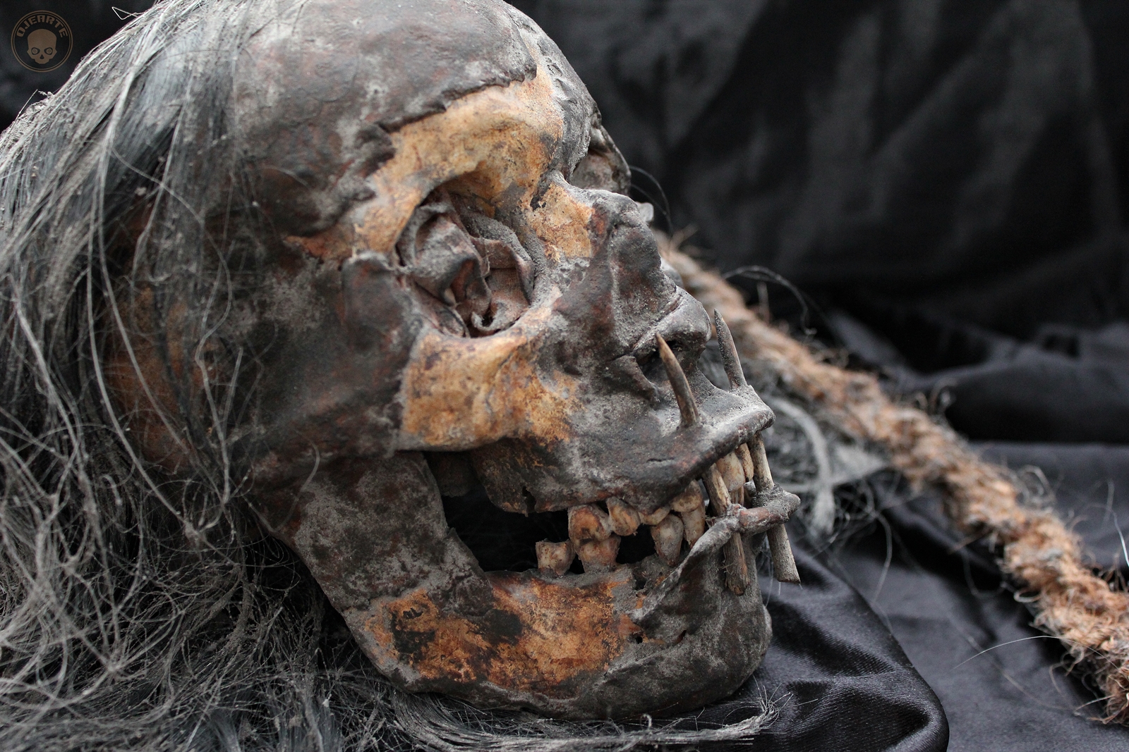 Nazca skulls