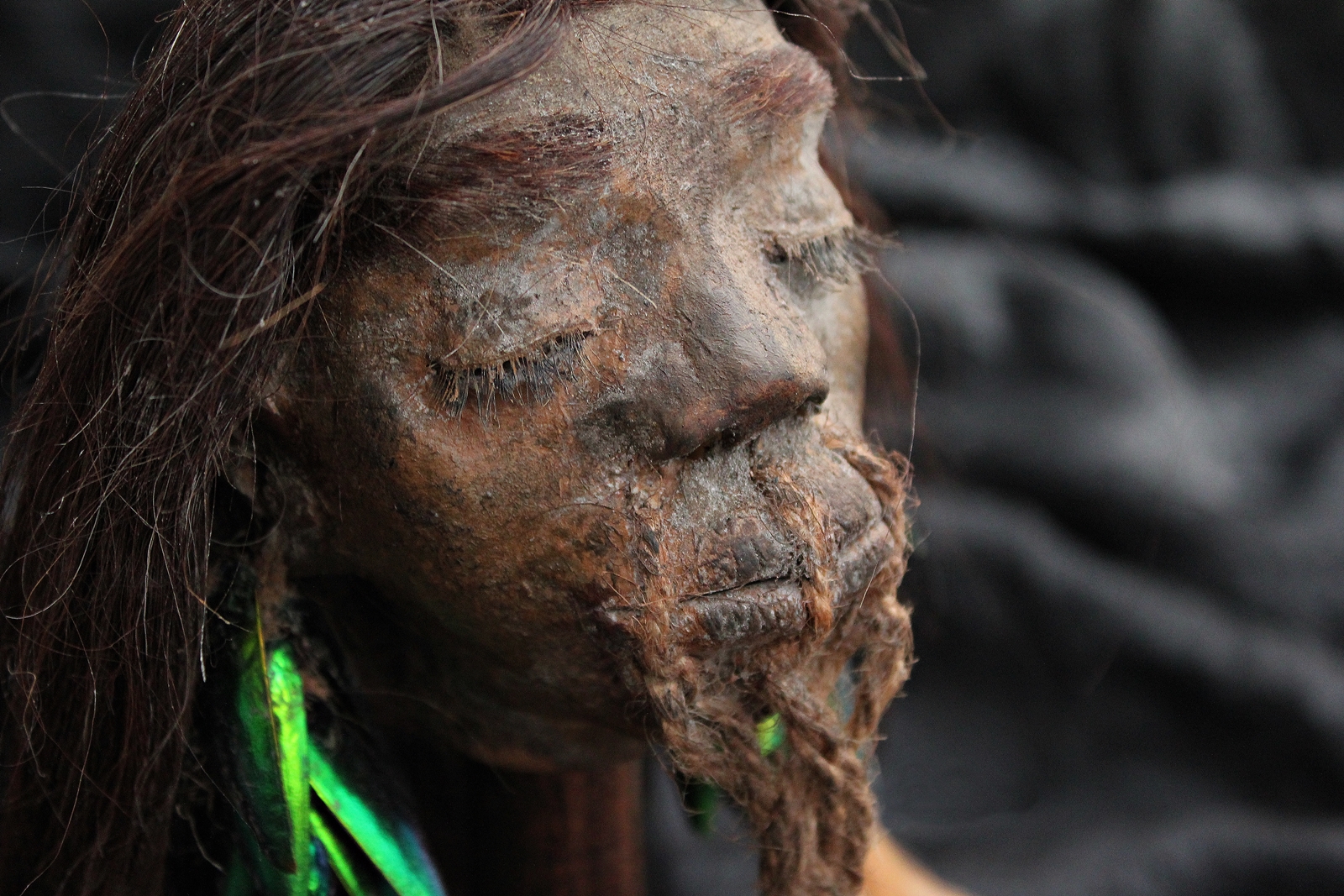 Cabeza reducida - TZANTZA - Shrunken head
