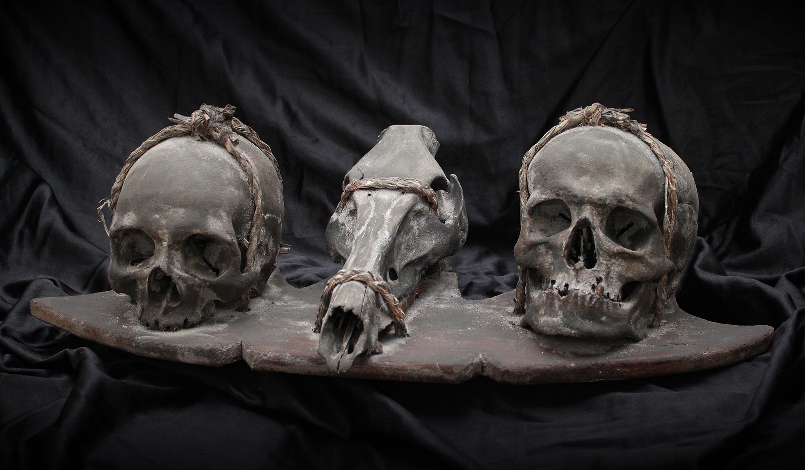 Cráneo IFUGAO Skull