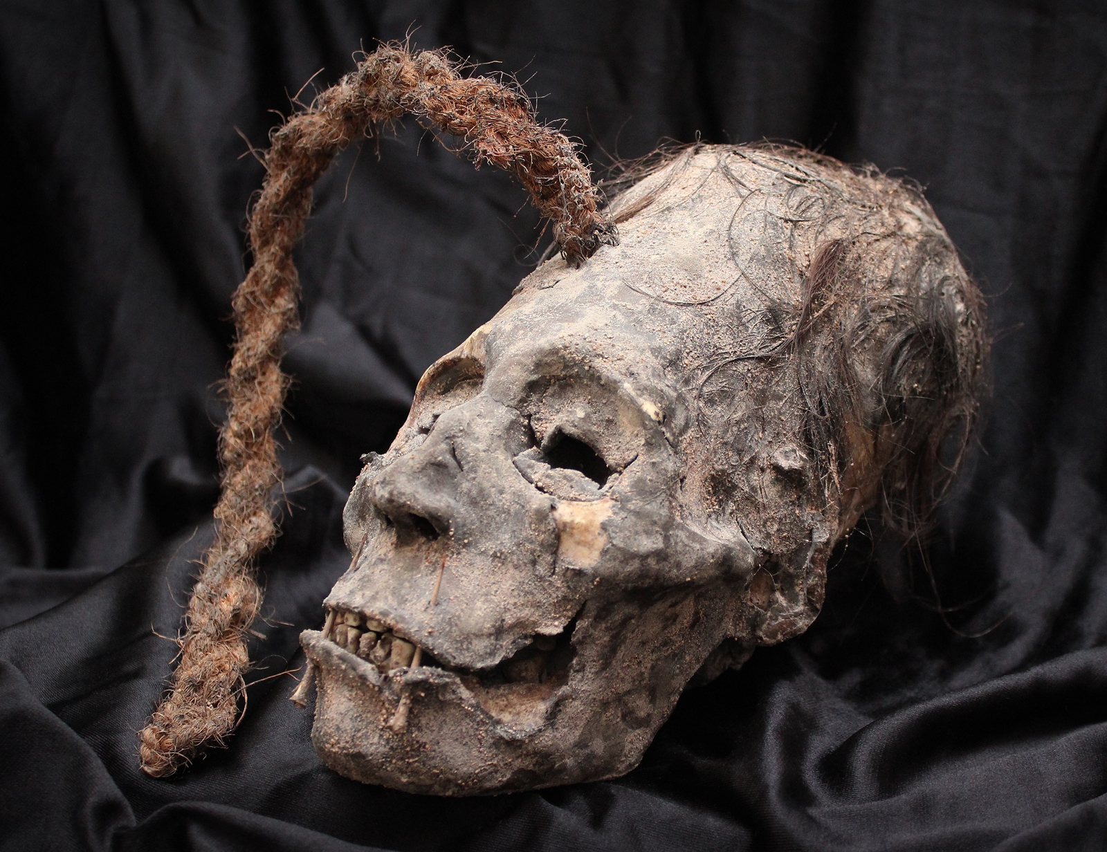 Paracas trophy head