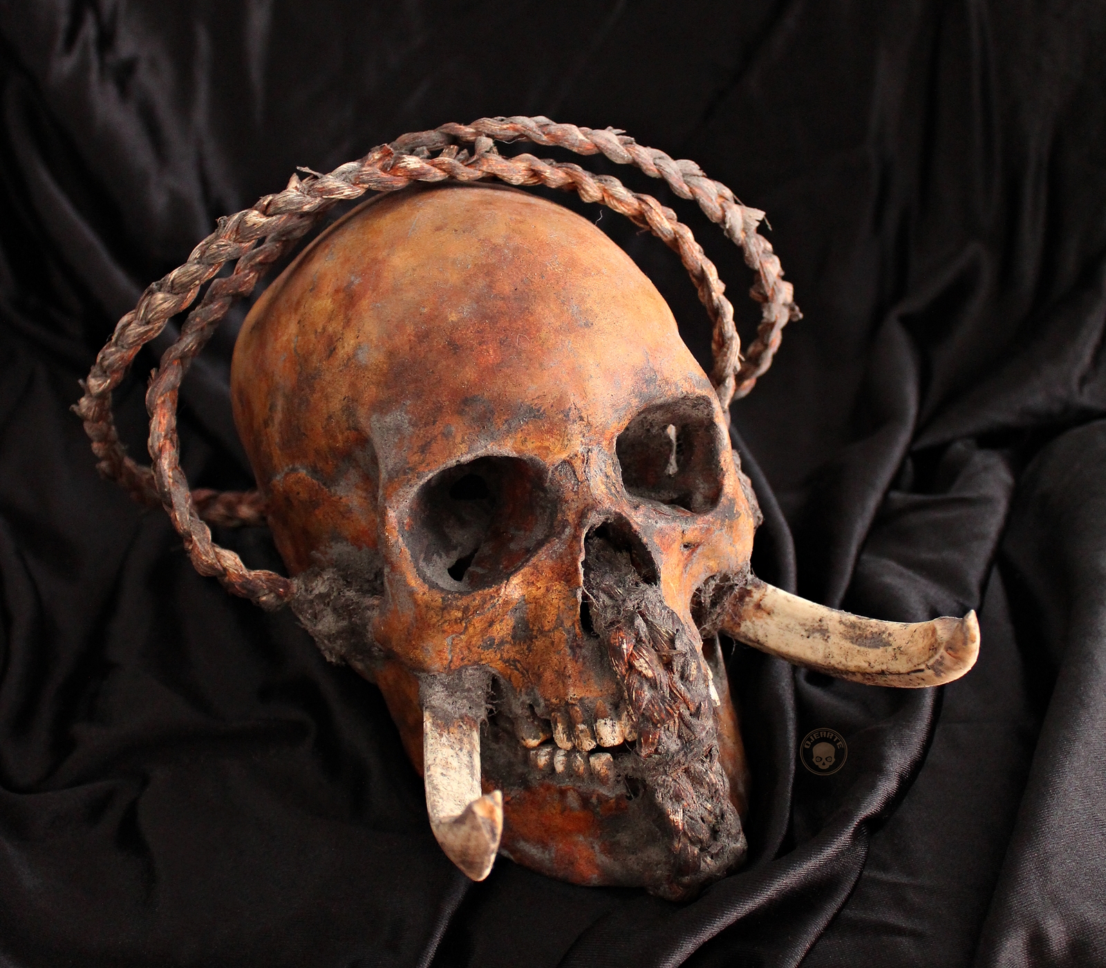 Marquesan Trophy Skulls