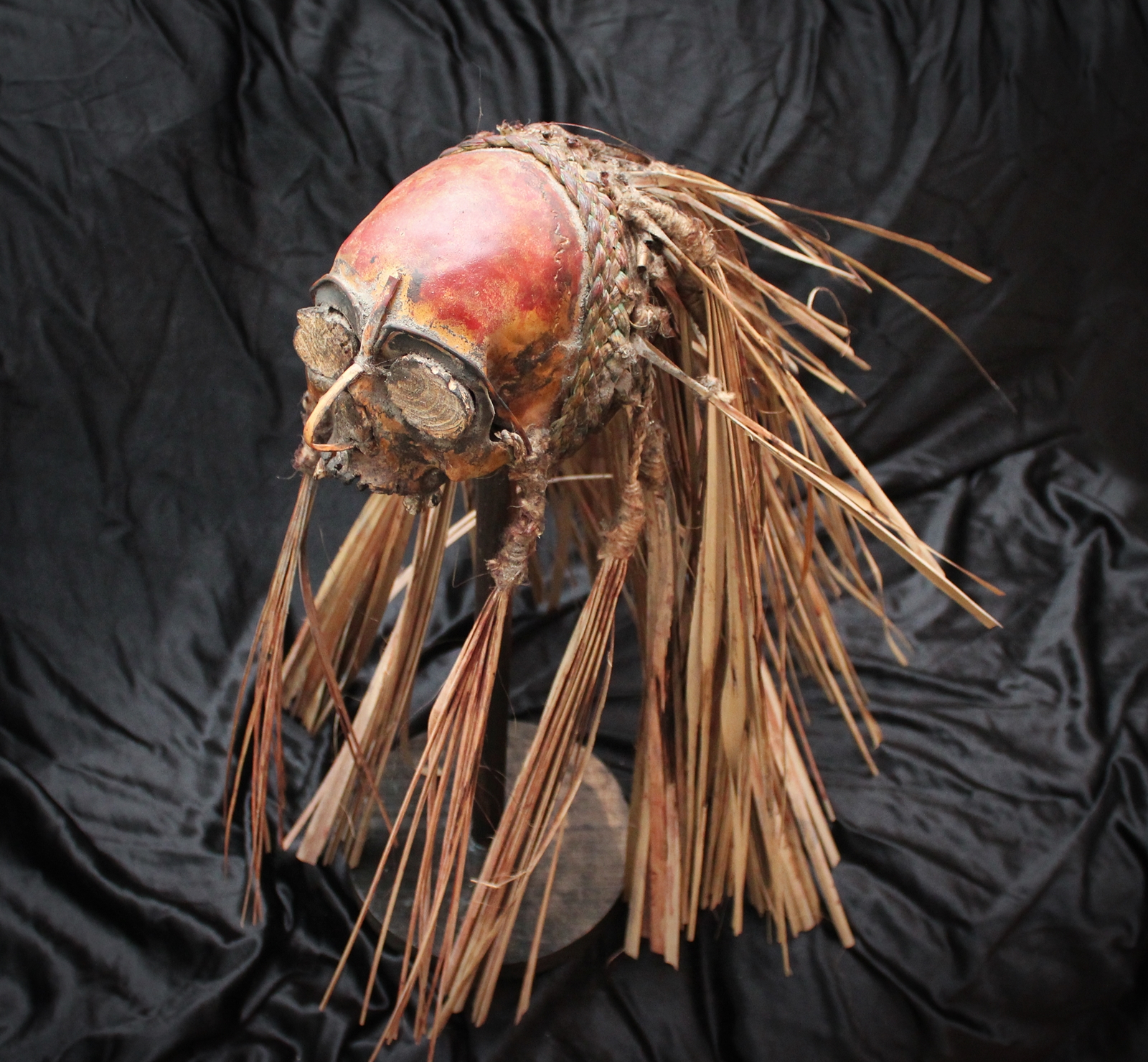 Cráneo trofeo Marind - Anim trophy skull (Merauke)