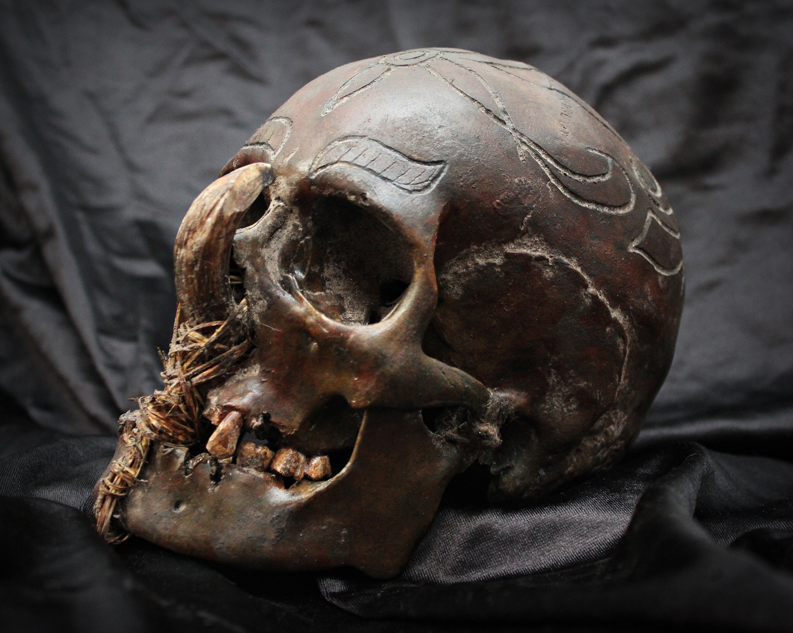Cráneo DAYAK Skull