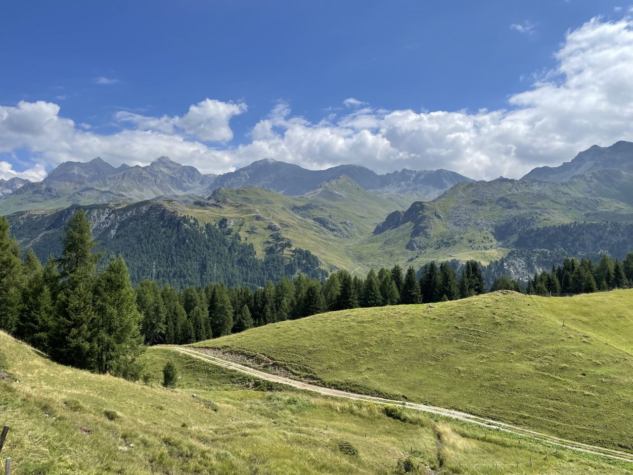 Bivio-Wanderferien - Tag 4 Alpenflora erleben über dem Marmorerasee