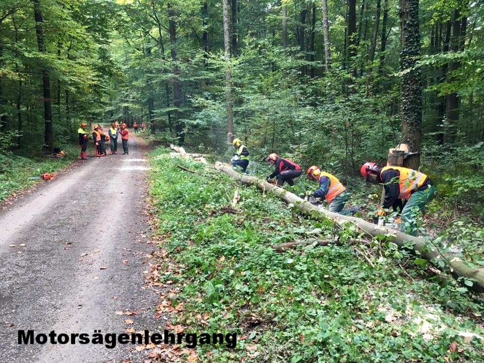 Motorsägenlehrgang Modul A