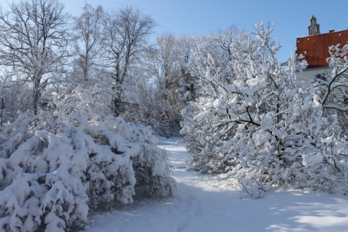 Heynitzer Schlosspark, Winter 2019, Foto: Eike von Watzdorf
