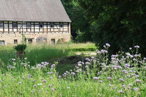 Schlosshof Heynitz, Juni 2026, Foto: EvW